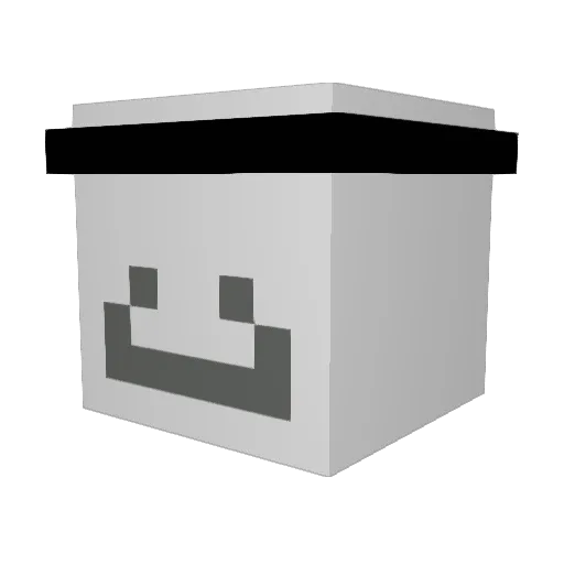 ShownRobin12515 Minecraft avatar head, 3D render
