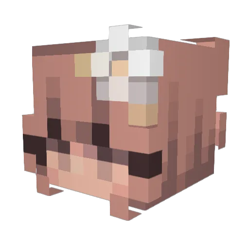 Showtyy Minecraft avatar head, 3D render