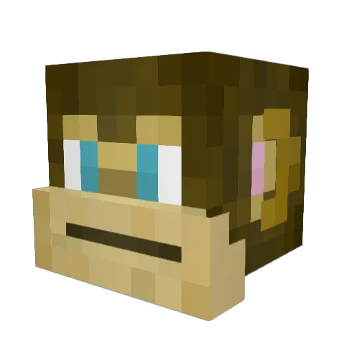 ShoxX146 Minecraft avatar head, 3D render