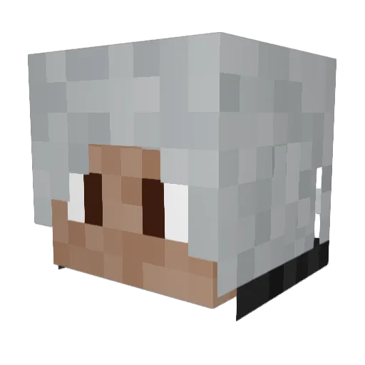 ShoxX96 Minecraft avatar head, 3D render