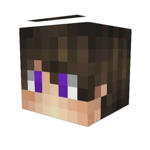 Shqd0w Minecraft avatar head, 3D render