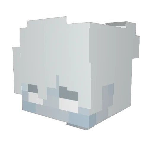 Shqtz Minecraft avatar head, 3D render