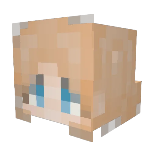 ShraLiYa Minecraft avatar head, 3D render