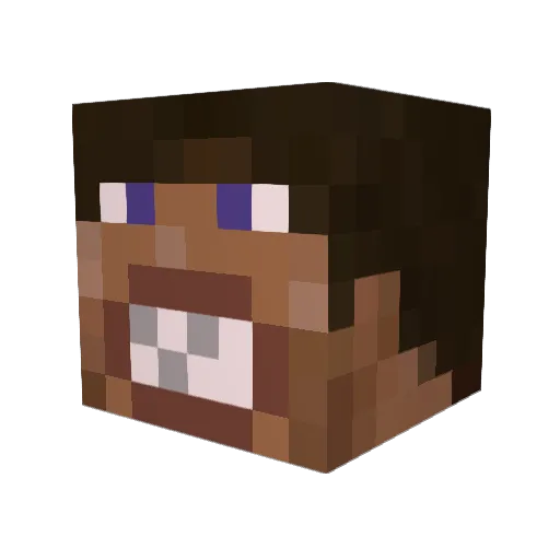 Shradder32 Minecraft avatar head, 3D render