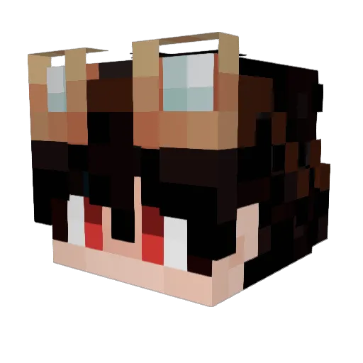 ShradeVT Minecraft avatar head, 3D render
