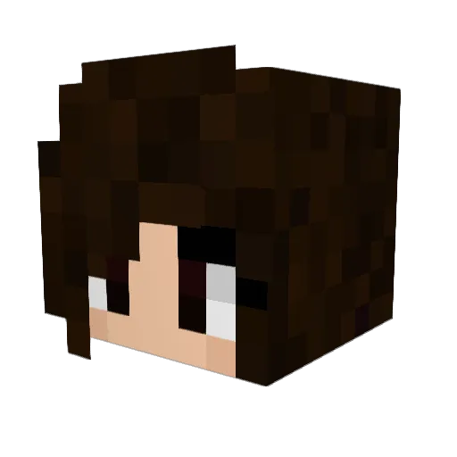 Shrane Minecraft avatar head, 3D render