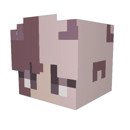 Shreckisbaby Minecraft avatar head, 3D render