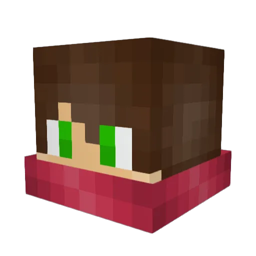 Shrecksecutioner Minecraft avatar head, 3D render