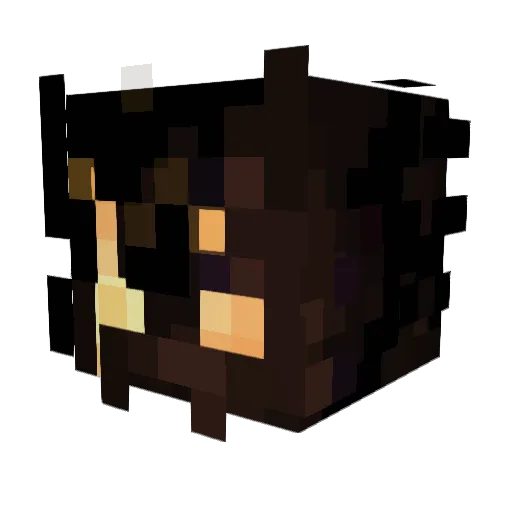 ShredEx2004 Minecraft avatar head, 3D render