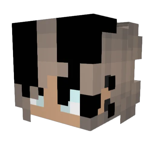 Shredded_Bees Minecraft avatar head, 3D render
