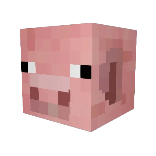 Shreddin50 Minecraft avatar head, 3D render