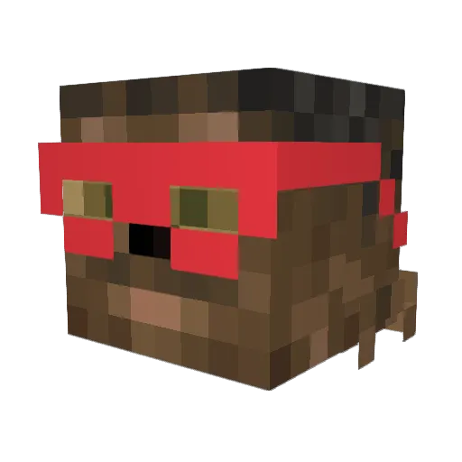 Shreder11 Minecraft avatar head, 3D render