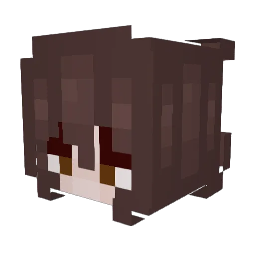 Shrek4Ever__ Minecraft avatar head, 3D render