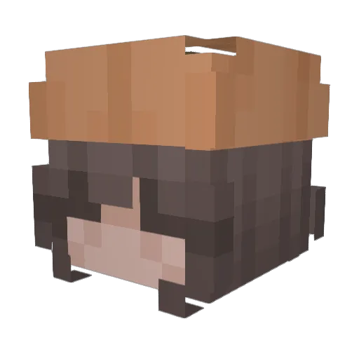 Shrekko528 Minecraft avatar head, 3D render
