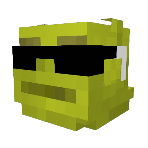 ShreksFavorite Minecraft avatar head, 3D render