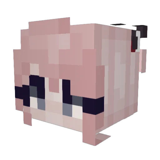 Shreksks Minecraft avatar head, 3D render
