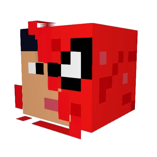 ShrektheDonkey Minecraft avatar head, 3D render