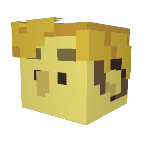 Shrewba Minecraft avatar head, 3D render