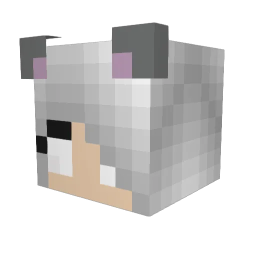 Shria9 Minecraft avatar head, 3D render
