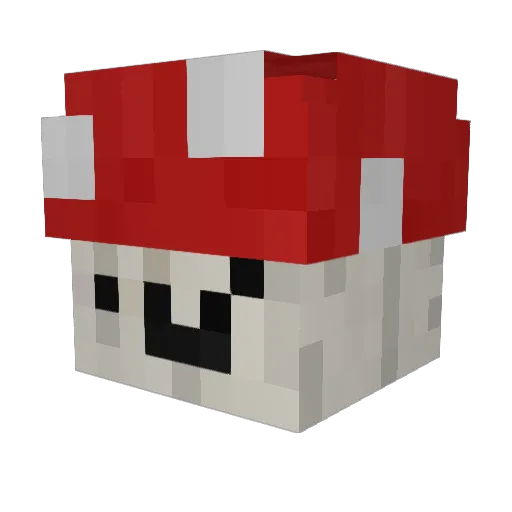 Shrigma_Male_ Minecraft avatar head, 3D render