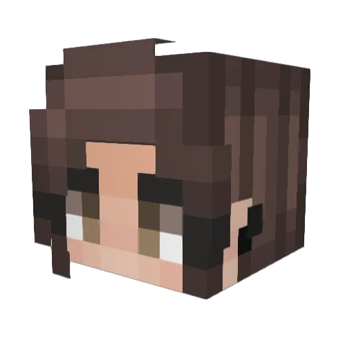 Shriimpy Minecraft avatar head, 3D render