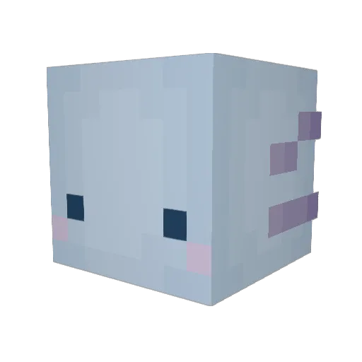 Shrimp2129 Minecraft avatar head, 3D render