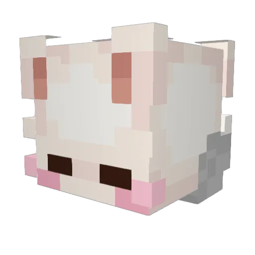 ShrimpDestoyer Minecraft avatar head, 3D render