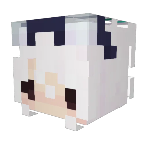 ShrimpSkillet Minecraft avatar head, 3D render