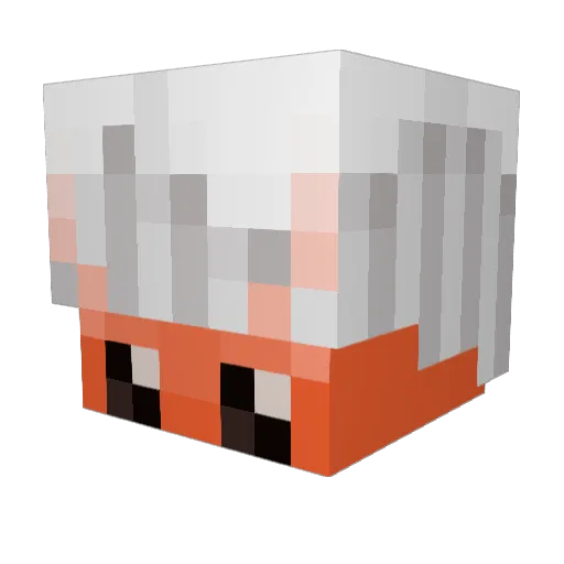 ShrimpSqndwich Minecraft avatar head, 3D render