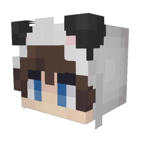 Shrimpkin68 Minecraft avatar head, 3D render