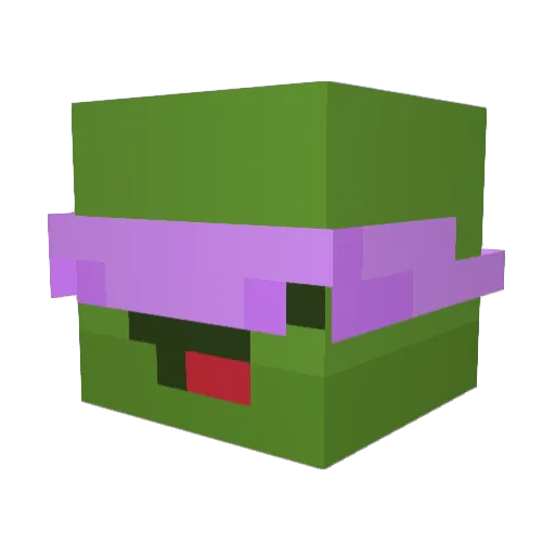 Shrimpy11 Minecraft avatar head, 3D render