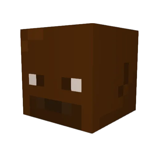 Shrimpyhugs98 Minecraft avatar head, 3D render