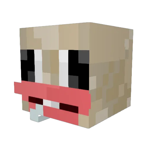 Shrimpytip Minecraft avatar head, 3D render