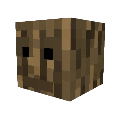 Shringz Minecraft avatar head, 3D render