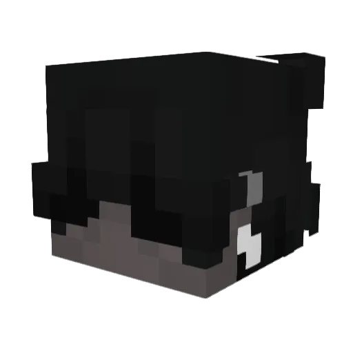 ShrizzleMaNizzle Minecraft avatar head, 3D render
