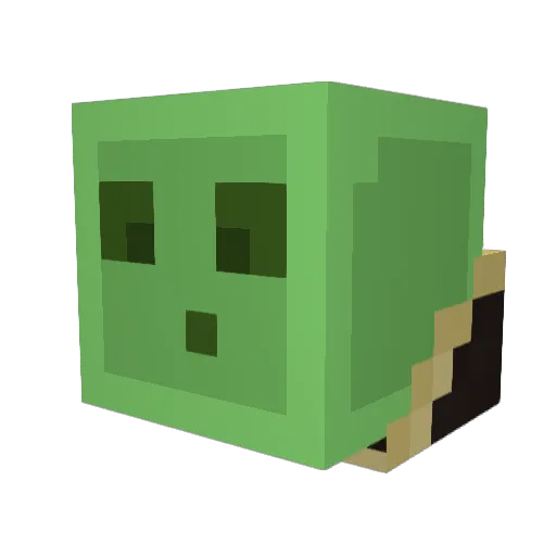 ShrlmpKid Minecraft avatar head, 3D render