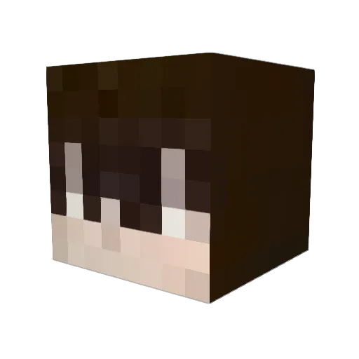 Shroemie Minecraft avatar head, 3D render
