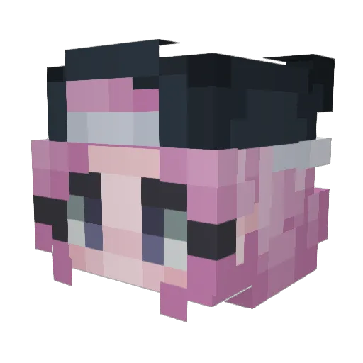 Shroomzx Minecraft avatar head, 3D render