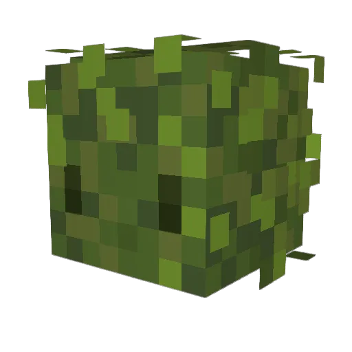 Shrubblord Minecraft avatar head, 3D render