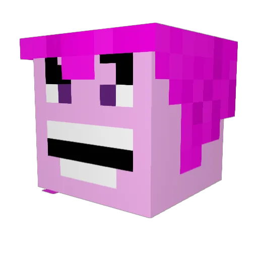 Shrunion Minecraft avatar head, 3D render