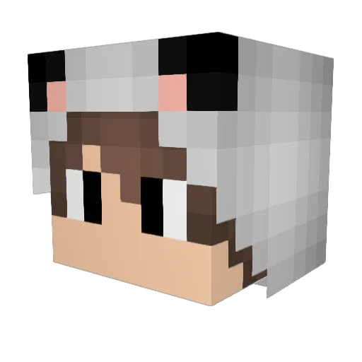 Shrunk69 Minecraft avatar head, 3D render