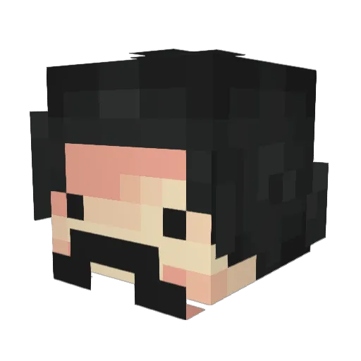 Shrunk_Panini Minecraft avatar head, 3D render