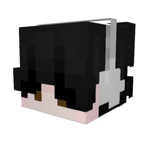 Shrunkdruid Minecraft avatar head, 3D render