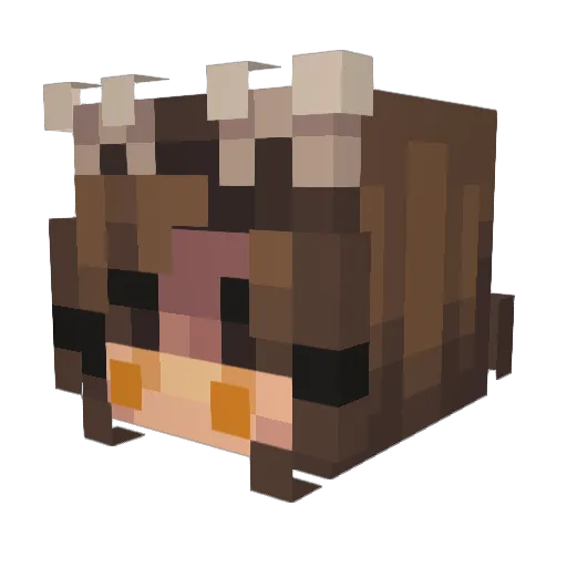 ShrutiGaming Minecraft avatar head, 3D render