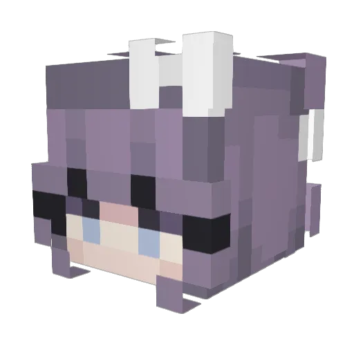 Shruz0501 Minecraft avatar head, 3D render