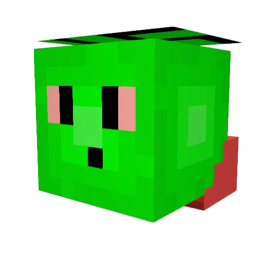 Shtankt_Biscuits Minecraft avatar head, 3D render