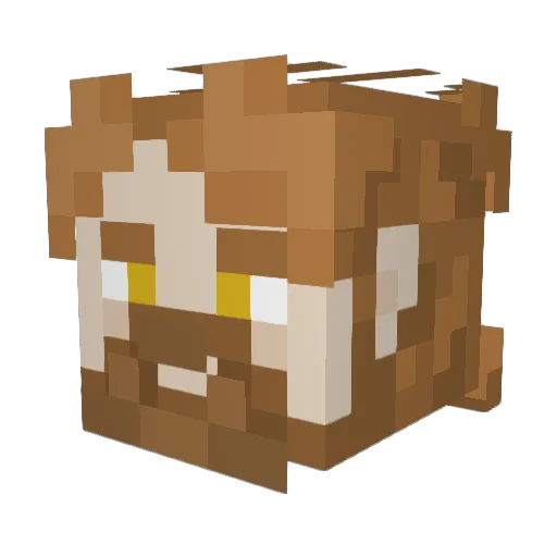 ShuBoxx_ Minecraft avatar head, 3D render