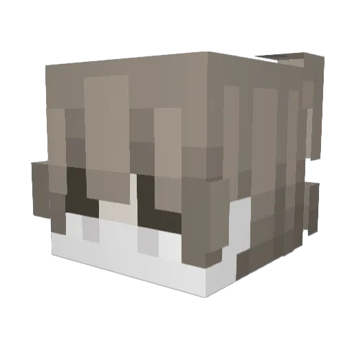 ShuKe_ Minecraft avatar head, 3D render