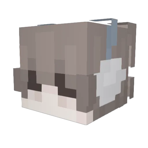 ShuYu_honey Minecraft avatar head, 3D render