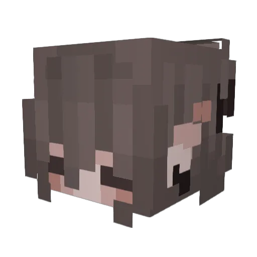Shubaduck09 Minecraft avatar head, 3D render